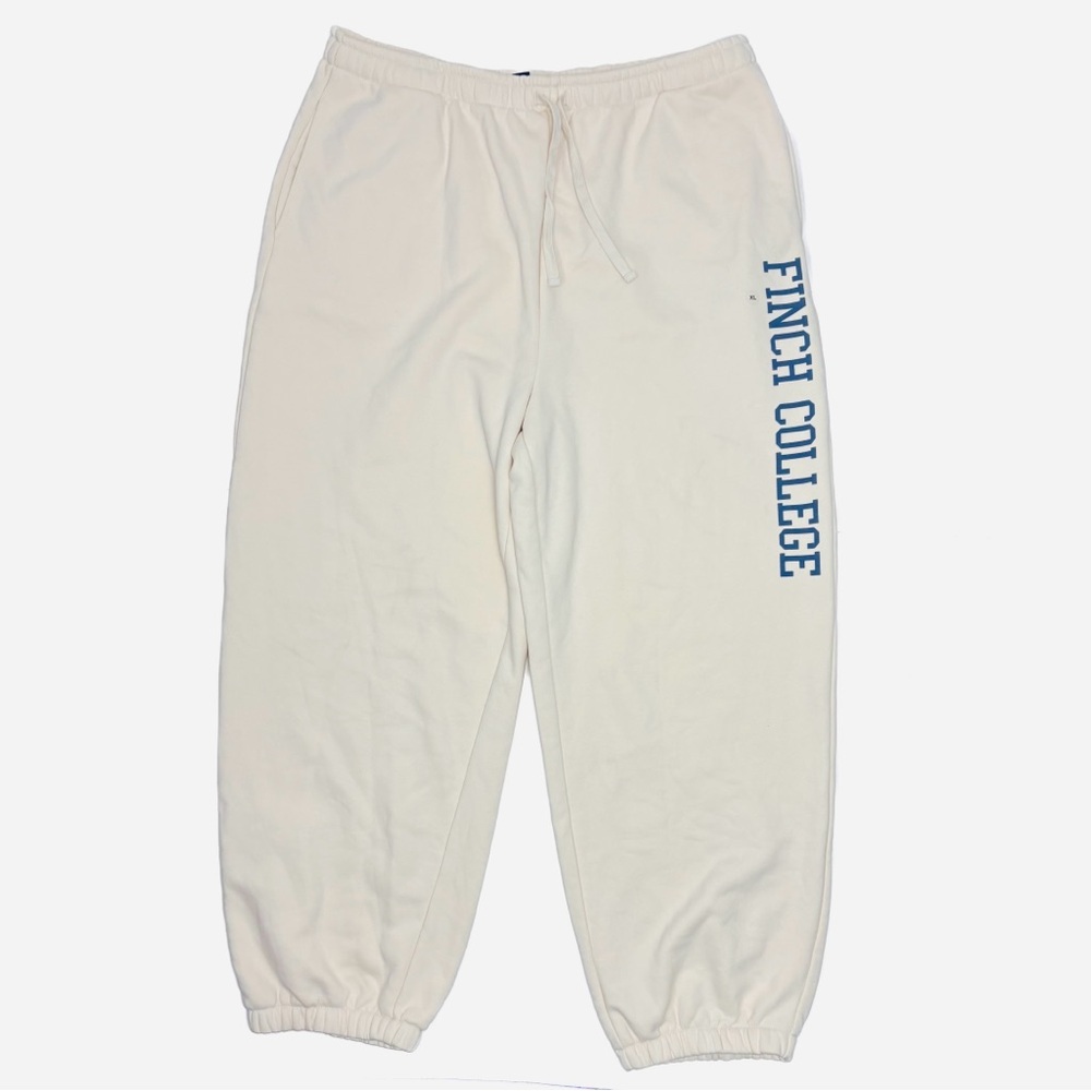 The Summer I Turned Pretty American Eagle Sweatpants XL Cream Finch College READ